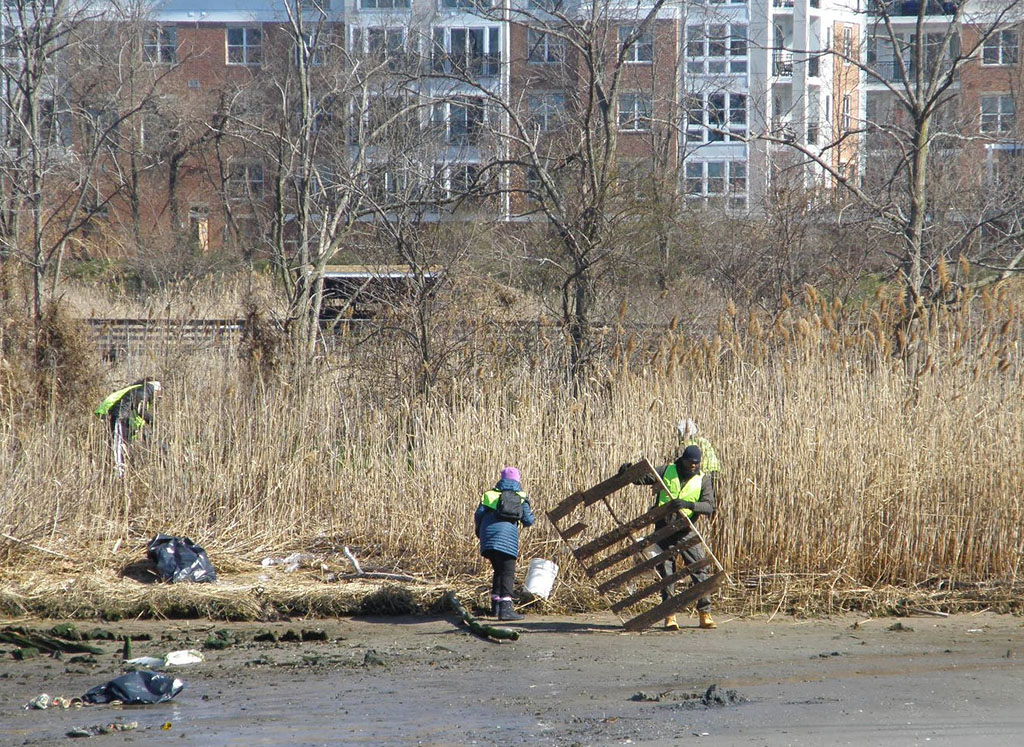Shoreline mud flats after cleanup efforts.